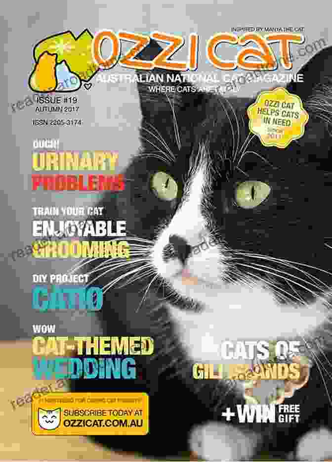 A Captivating Cover Image Of Cat House Ink Magazine Issue Featuring An Adorable Cat Gazing Alluringly At The Reader Cat House Ink Magazine Issue#1