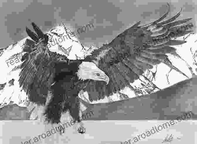 A Child's Sketch Of A Bald Eagle Soaring Over The Alaskan Coastline Alaska: A Children S With Pictures And Facts Of Alaska