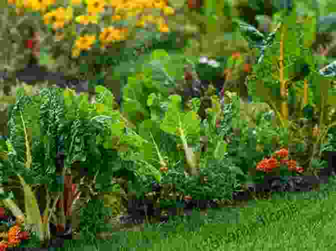 A Collection Of Colorful Containers Filled With A Variety Of Vegetables, Herbs, And Flowers, Creating A Vibrant And Productive Edible Garden. Urban Gardening For Beginners: Making Use Of Cramped Spaces And Growing Your Own Food For A Sustainable Living