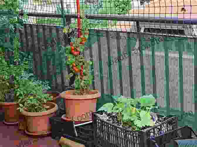 A Colorful Balcony Garden Bursts With Life, Showcasing Thriving Tomatoes, Peppers, Herbs, And Flowers. Urban Gardening For Beginners: Making Use Of Cramped Spaces And Growing Your Own Food For A Sustainable Living