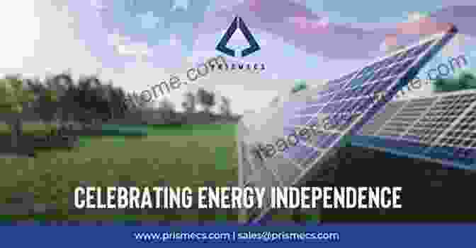 A Group Of People Celebrating Energy Independence, Representing Success Stories In The Field DIY Solar Charger For Electric Car: Learn To Install Own Solar Panel Charger To Power Your Car: (Energy Independence Lower Bills Off Grid Living) (Self Reliance Solar Energy 2)