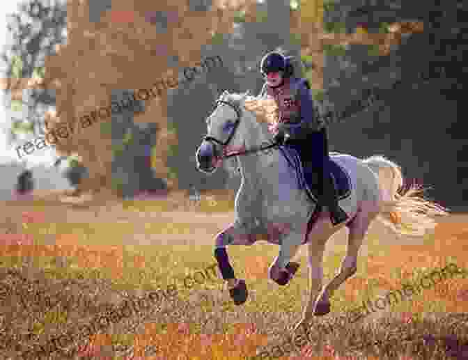 A Horse And Rider Galloping Through A Field, Surrounded By Mountains. Out Of The Saddle: Native American Horsmanship