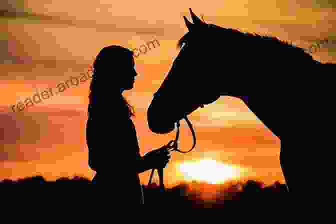 A Horse And Rider Silhouetted Against A Golden Sunset. Out Of The Saddle: Native American Horsmanship