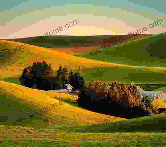 A Panoramic View Of Rolling Hills Covered In Vineyards, With A Winding Country Road Leading Into The Distance Pennsylvania Wine: A Taste Of The Complex Story Of The Pennsylvania Wine Industry