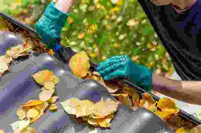 A Person Cleaning Gutters On A House THE BEST FURNACE INSTALLATION PROCESSING: Winter Neighborhood Climate Can Be Bitterly Cold And Residence Proprietors Rely On A Reliable Furnace To Keep Indoor Surroundings Warmness And Comfortabl