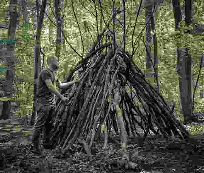 A Person Constructing A Shelter From Branches And Leaves Practicing Primitive: A Handbook Of Aboriginal Skills