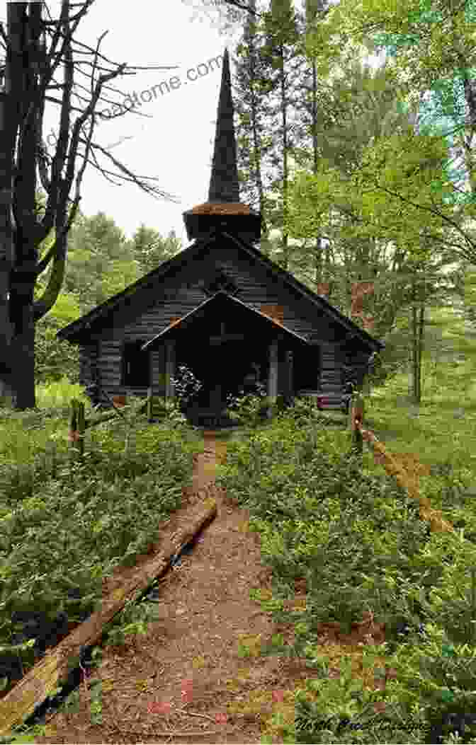 A Picturesque Southern Church Nestled Amidst Towering Pine Trees. Religion In The American South: Protestants And Others In History And Culture