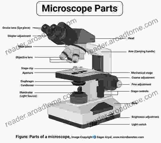 A Schematic Diagram Of The Fermi Gas Microscope, With Detailed Labels Of Its Key Components. Fermi Gas Microscope Chapter