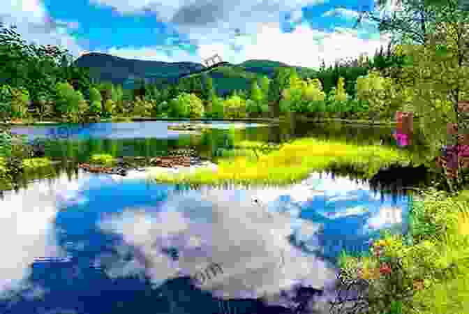 A Serene Lake, With Crystal Clear Waters Reflecting The Vibrant Colors Of The Surrounding Trees. Poems Of Summer 2024