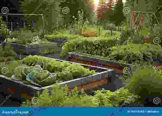 A Sprawling Rooftop Garden Showcases Raised Beds Filled With Lush Vegetables, Herbs, And Flowers, Transforming The Urban Landscape Into A Vibrant Oasis. Urban Gardening For Beginners: Making Use Of Cramped Spaces And Growing Your Own Food For A Sustainable Living