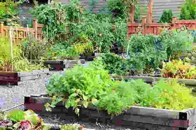 A Vibrant Garden Brimming With Fresh Vegetables My 365 Yummy Potluck Vegetarian Recipes: The Best Ever Of Yummy Potluck Vegetarian Cookbook