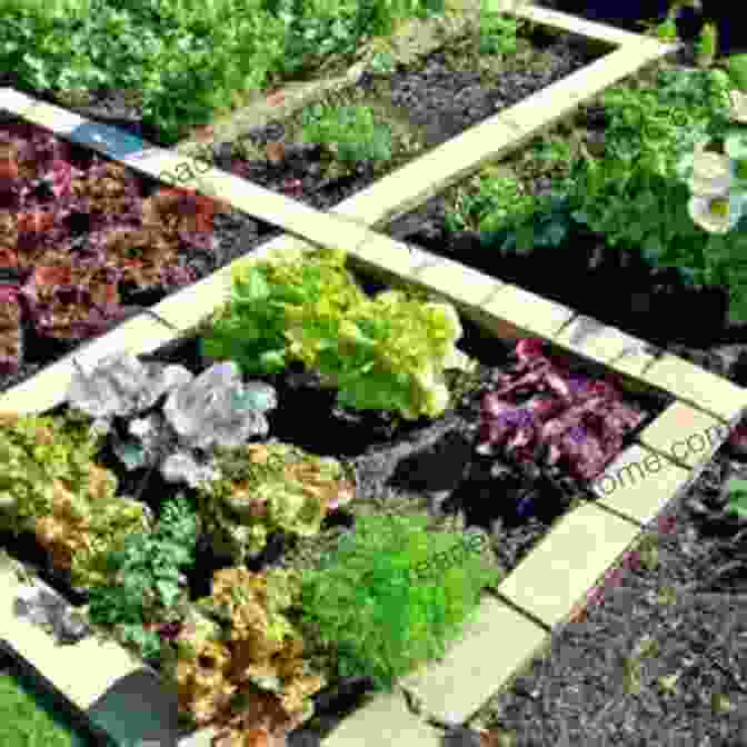 A Well Organized Square Foot Garden Showcases A Diverse Array Of Vegetables, Herbs, And Flowers, All Flourishing In A Compact Space. Urban Gardening For Beginners: Making Use Of Cramped Spaces And Growing Your Own Food For A Sustainable Living