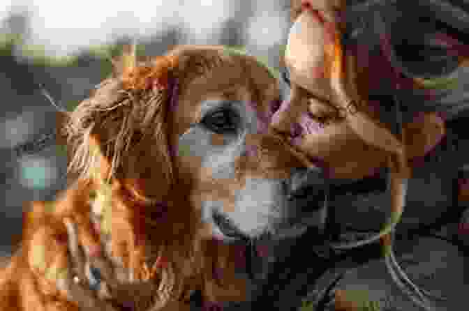 A Young Woman Cuddles Affectionately With Her Beloved Golden Retriever Dog, Epitomizing The Deep Bond Between Humans And Dogs. Pocket I Ching: The Best Friend In Your Pocket