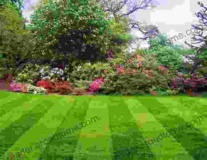 Beautiful Lawn With Lush Green Grass And Vibrant Flowers What Everybody Ought To Know About Lawn Care Landscaping: Byrd S Lawn Landscape S Guide To Getting Your Best Lawn Ever