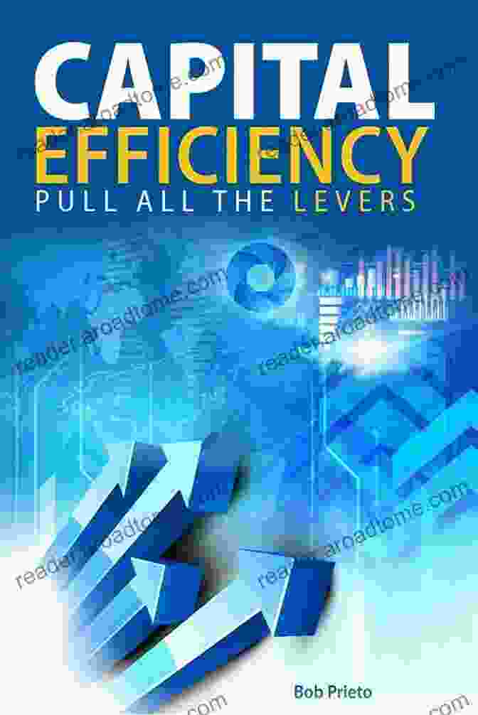 Capital Efficiency Pull All The Levers Book Cover Capital Efficiency: Pull All The Levers