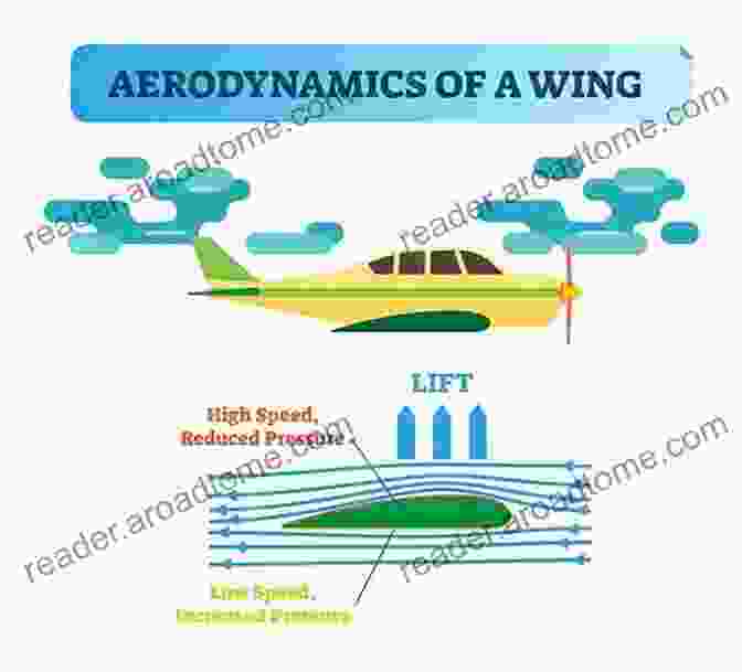 Diagram Illustrating The Aerodynamic Forces Acting On A Dragonfly In Flight. Biophysics Of Insect Flight (Springer In Biophysics 22)