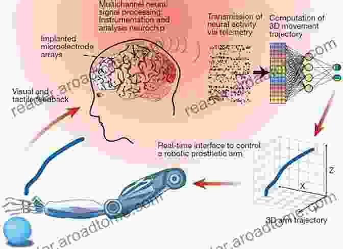 Diagram Of A Brain Computer Interface, Showcasing The Loop Between The User's Brain, The Neuroprosthesis, And Sensory Feedback Somatosensory Feedback For Neuroprosthetics