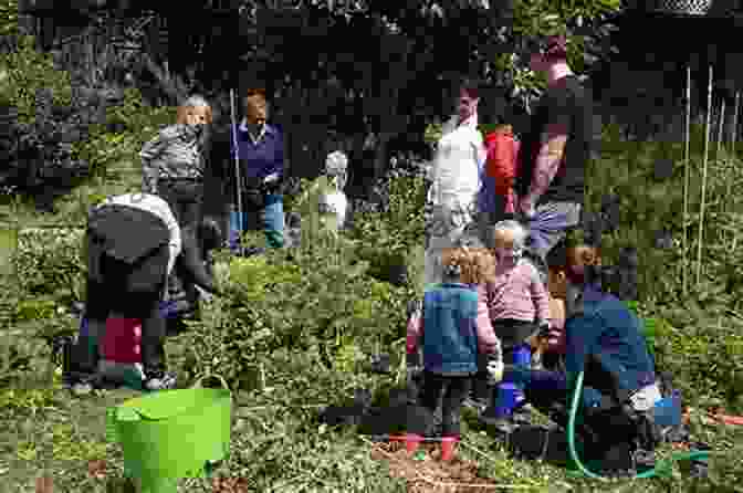 Diverse Community Members Working Together In A Community Garden The Urban Food Revolution: Changing The Way We Feed Cities