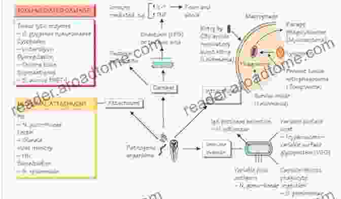 Pathogenesis Of Infectious Diseases Fungal Extracellular Vesicles: Biological Roles (Current Topics In Microbiology And Immunology 432)