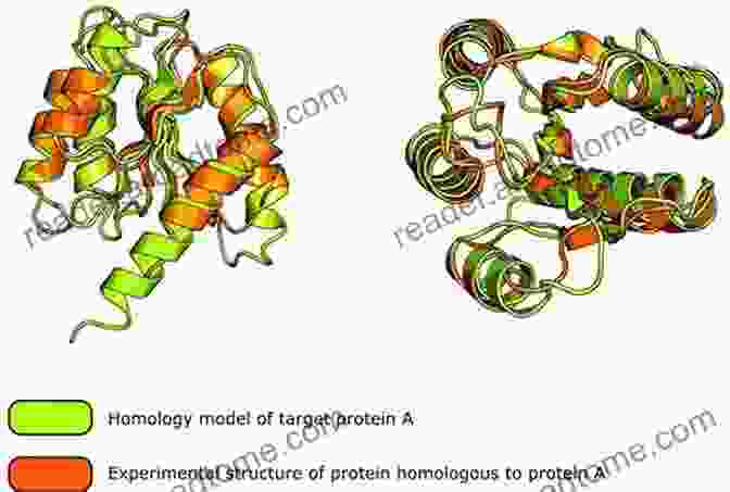 Practical Bioinformatics: Beginner's Guide To Protein Analysis Practical Bioinformatics A Beginer S Guide To Protein Analysis