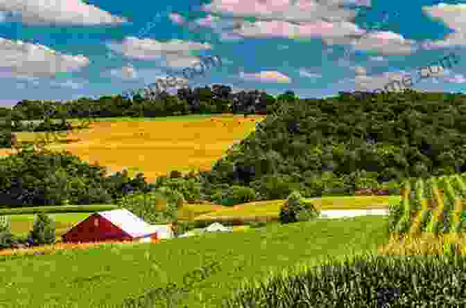 Rolling Hills, Golden Fields, And A Bright Blue Sky Capturing The Vast Beauty Of The Midwest Landscape The Jefferson Highway: Blazing The Way From Winnepeg To New Orleans (Iowa And The Midwest Experience)