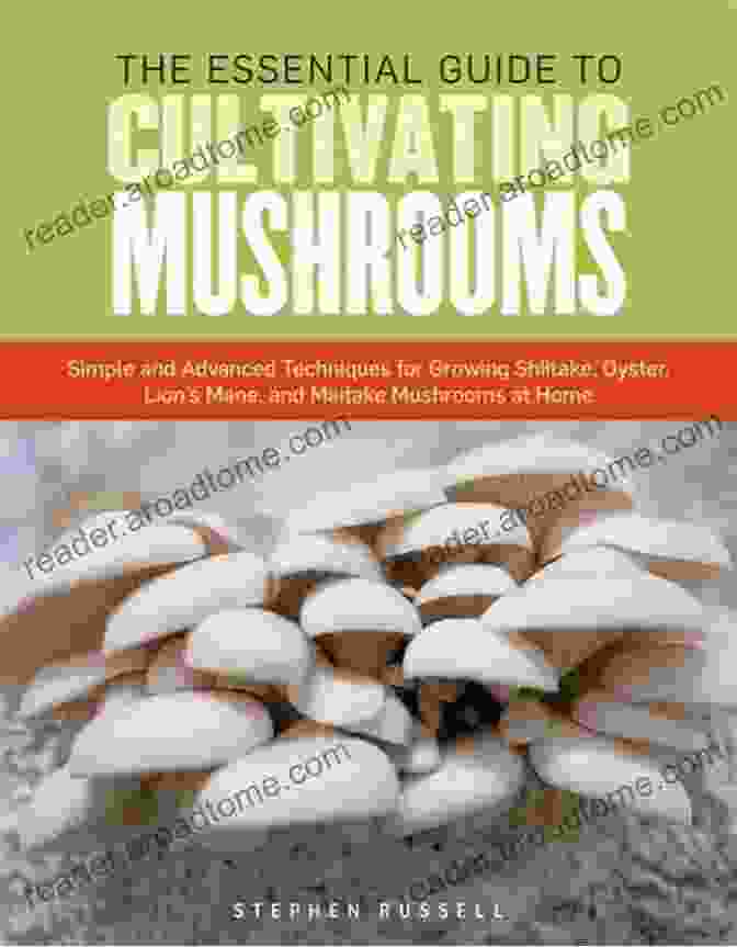 Simple And Advanced Techniques For Growing Shiitake, Oyster, Lion's Mane, And More Book Cover The Essential Guide To Cultivating Mushrooms: Simple And Advanced Techniques For Growing Shiitake Oyster Lion S Mane And Maitake Mushrooms At Home