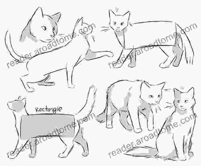 Sketching The Basic Shapes Of A Cat How To Draw Cute Cats: Learn To Draw Kawaii Kitties 30 Designs Step By Step For Kids Teens And Adults