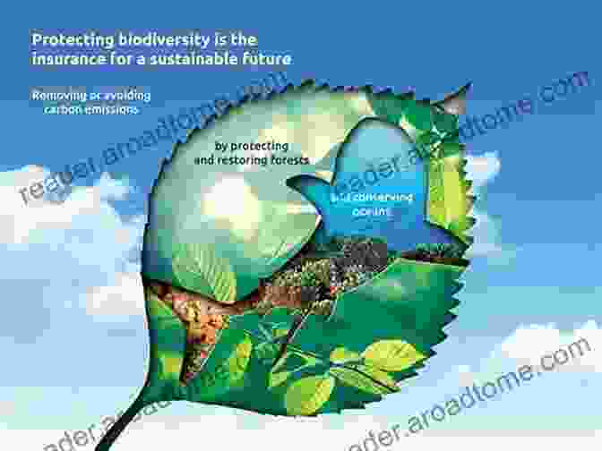 Sustainable Agriculture Practices: Enhancing Productivity And Preserving The Environment Food Energy And Water Nexus: A Consideration For The 21st Century