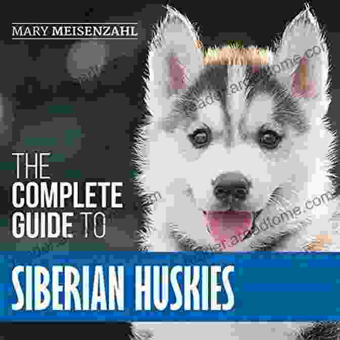 The Complete Guide To Siberian Huskies Book Cover The Complete Guide To Siberian Huskies: Finding Preparing For Training Exercising Feeding Grooming And Loving Your New Husky Puppy