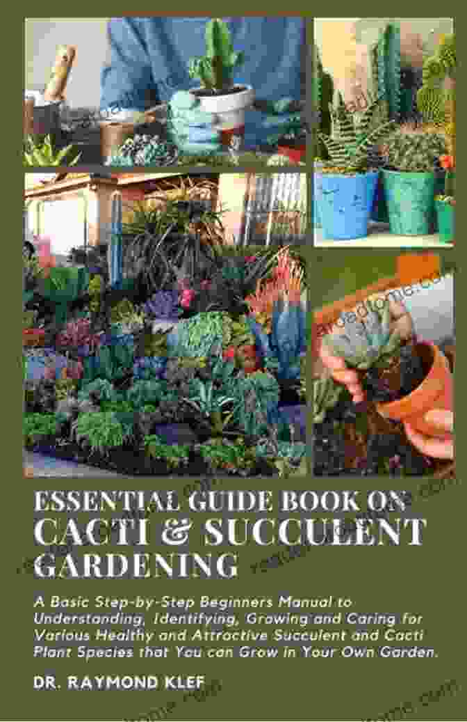 The Essential Guide To Cacti Succulents Planters And Terrariums Book Cover Bring The Outside In: The Essential Guide To Cacti Succulents Planters And Terrariums