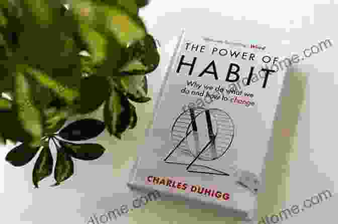 The Habit Of Awareness Book Cover The Habit Of Awareness: Awareness As A Form Of Self Defense