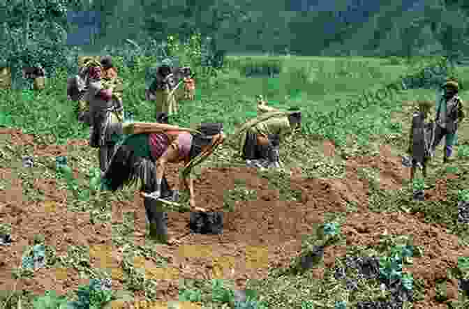 Traditional Gardening Practices Are Essential For Sustaining Communities In Papua New Guinea Gardens Of Gold: Place Making In Papua New Guinea (Culture Place And Nature)