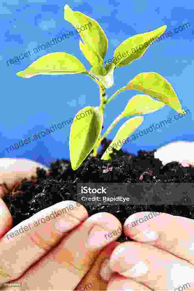 Two Hands Gently Cradle A Small Seedling, Symbolizing The Hope And Promise Of A Greener Future. Anthology Of Poems For GreenSpirits (GreenSpirit Series)