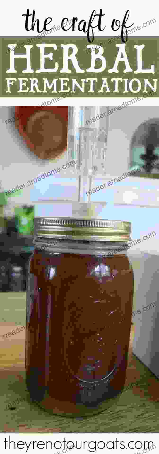 Vats Of Fermenting Herbal Concoctions How To Make Herbal Wine And Mead: Start Your Own Brewery And Distiller Career With 40 Recipes For Your Own Alcohol: (Herbal Fermentation Home Distilling DIY Bartender)