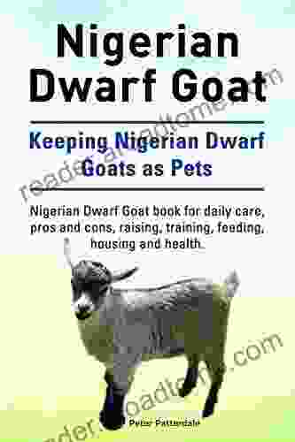 Nigerian Dwarf Goat Keeping Nigerian Dwarf Goats As Pets Nigerian Dwarf Goat For Daily Care Pros And Cons Raising Training Feeding Housing And Health