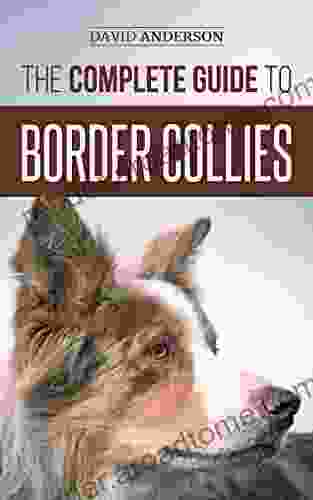 The Complete Guide To Border Collies: Training Teaching Feeding Raising And Loving Your New Border Collie Puppy