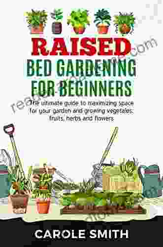 RAISED BED GARDENING FOR BEGINNERS: The Ultimate Guide To Maximizing Space For Your Garden And Growing Vegetales Fruits Herbs And Flowers