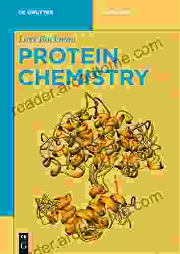 Protein Chemistry (De Gruyter Textbook)