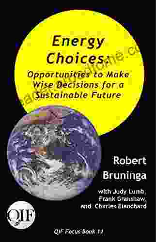 Energy Choices: Opportunities To Make Wise Decisions For A Sustainable Future (QIF Focus Books)