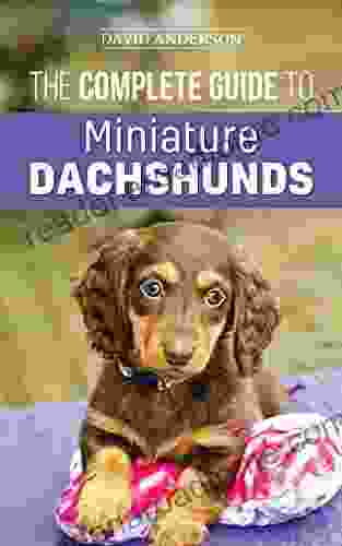 The Complete Guide to Miniature Dachshunds: A step by step guide to successfully raising your new Miniature Dachshund