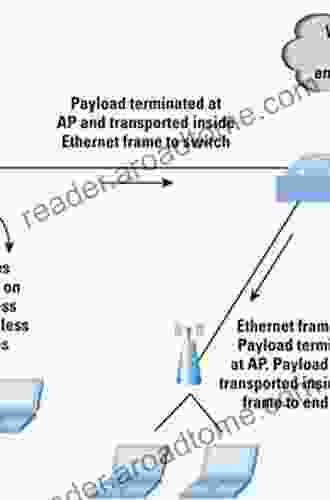 Wi Fi 6: Protocol And Network